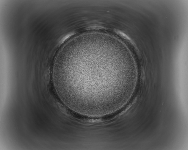 X0000086231313200704051148
