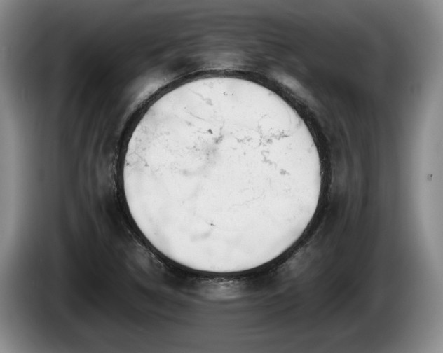 X0000086231314200704051148