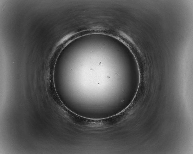X0000086231315200704051148