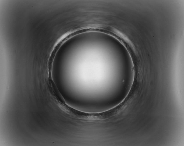 X0000086231316200704051148