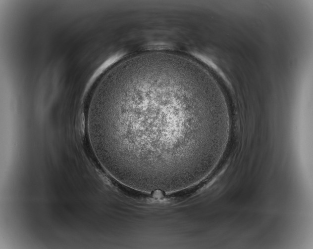 X0000086231317200704051148
