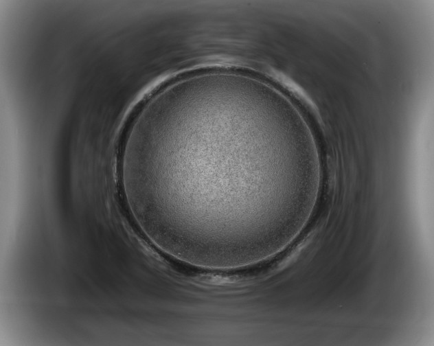 X0000086231318200704051148