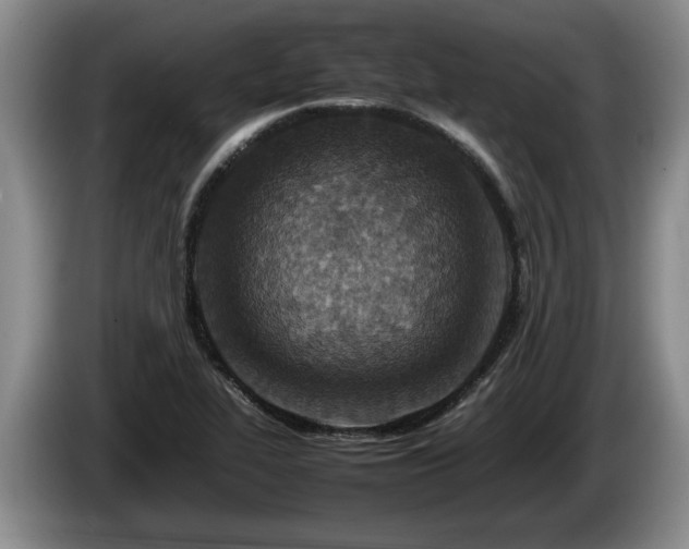 X0000086231319200704051148