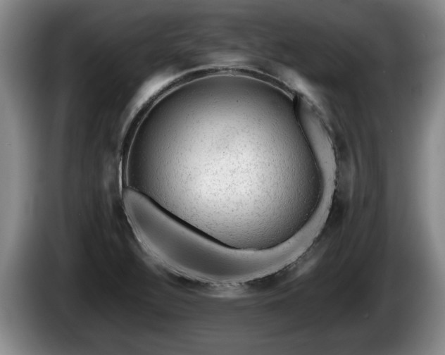 X0000086231320200704051148