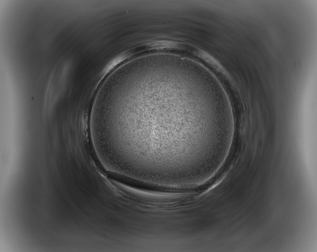 X0000086231321200704051148