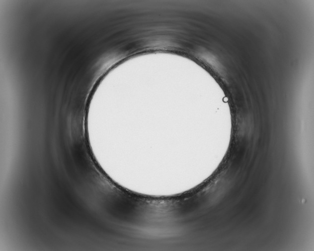 X0000086231322200704051148