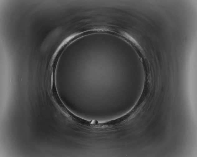 X0000086231323200704051148