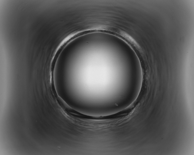 X0000086231324200704051148