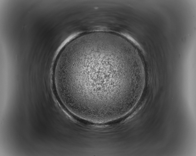 X0000086231325200704051148