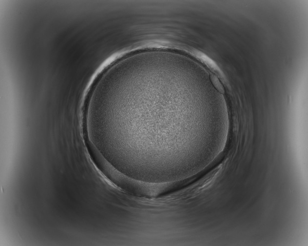X0000086231326200704051148