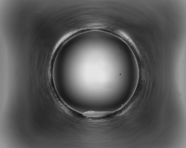 X0000086231328200704051148