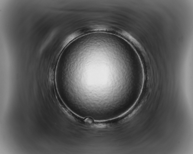 X0000086231329200704051148