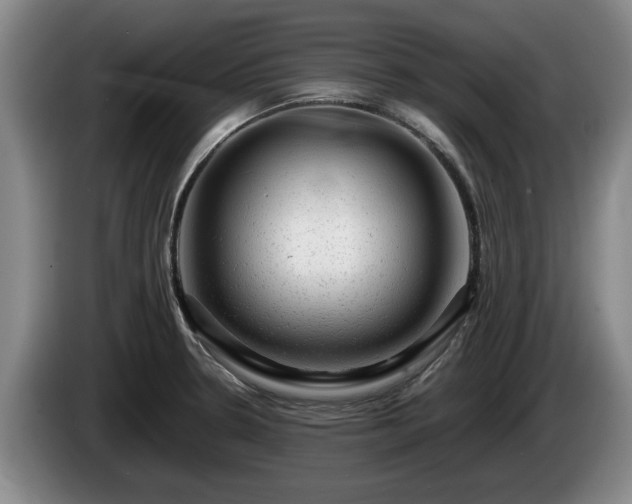 X0000086231330200704051148