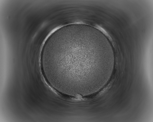 X0000086231331200704051148