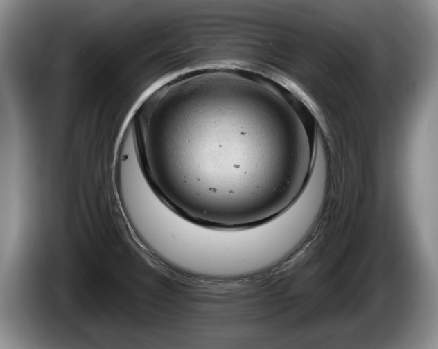 X0000086231332200704051148