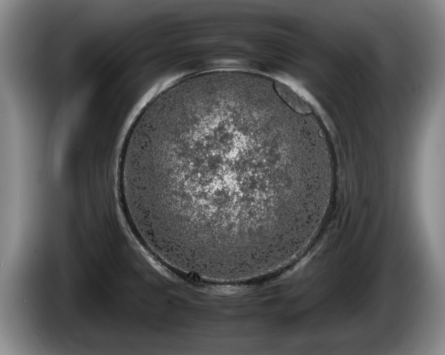 X0000086231333200704051148