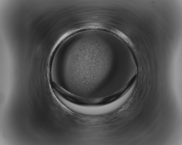 X0000086231334200704051148