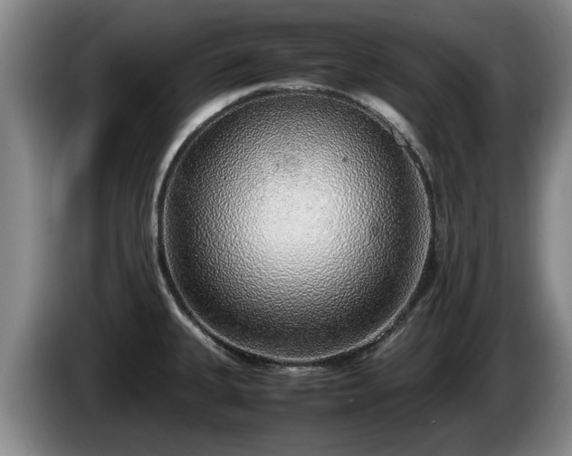 X0000086231335200704051148