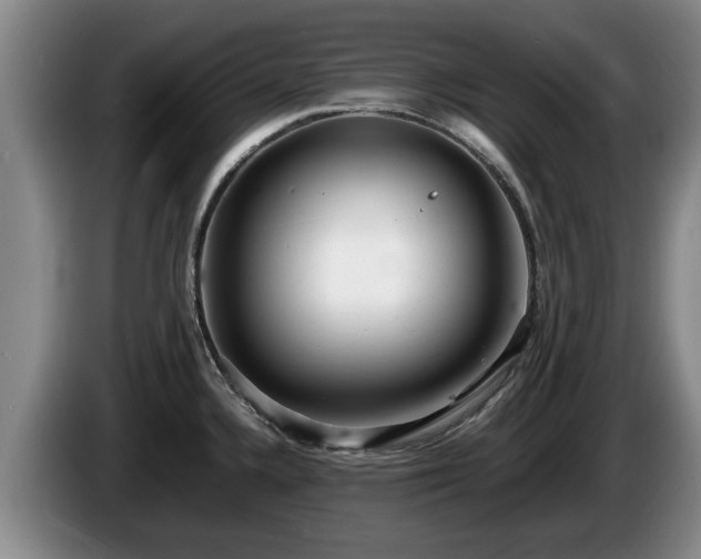 X0000086231336200704051148