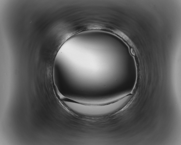 X0000086231337200704051148