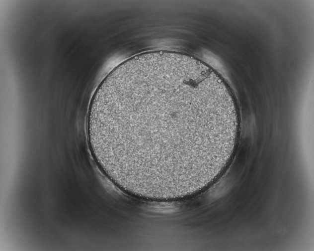 X0000086231338200704051148