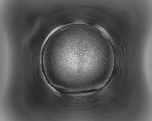 X0000086231339200704051148