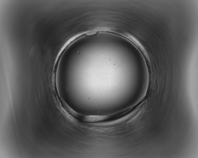 X0000086231340200704051148
