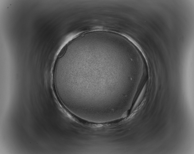X0000086231341200704051148