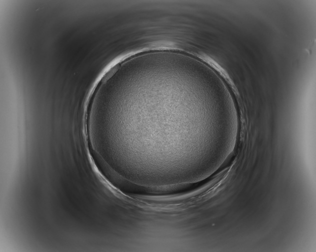 X0000086231342200704051148