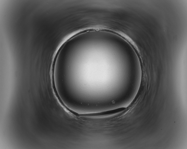 X0000086231343200704051148