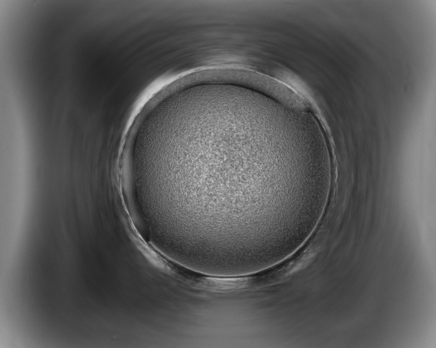 X0000086231344200704051148