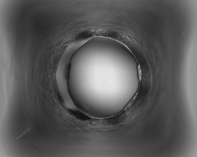 X0000086231345200704051147