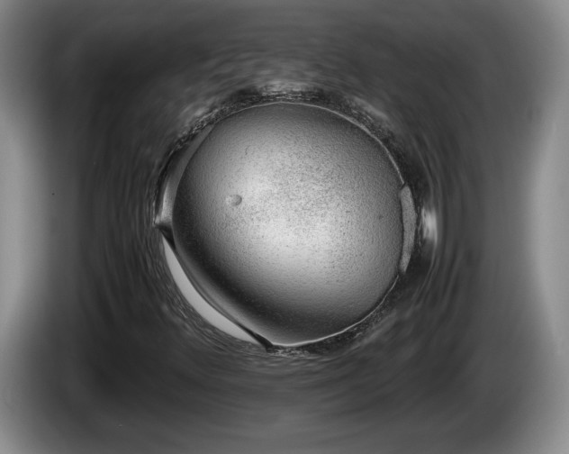 X0000086231348200704051147