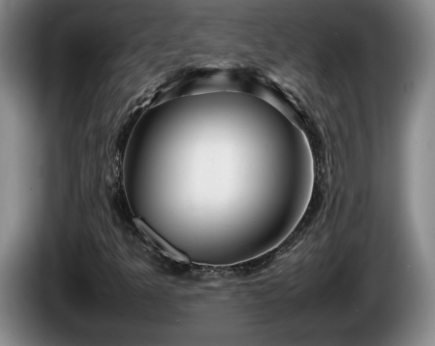 X0000086231349200704051147