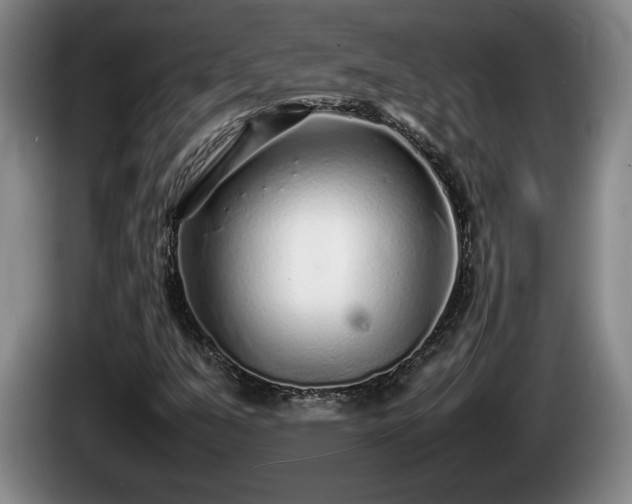 X0000086231351200704051147
