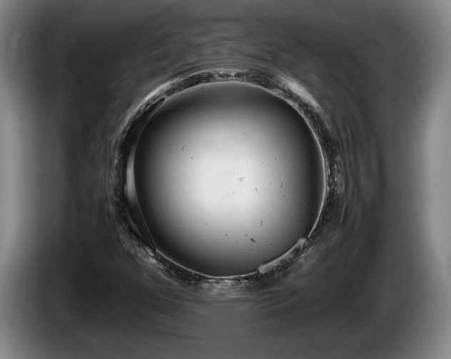 X0000086231352200704051147