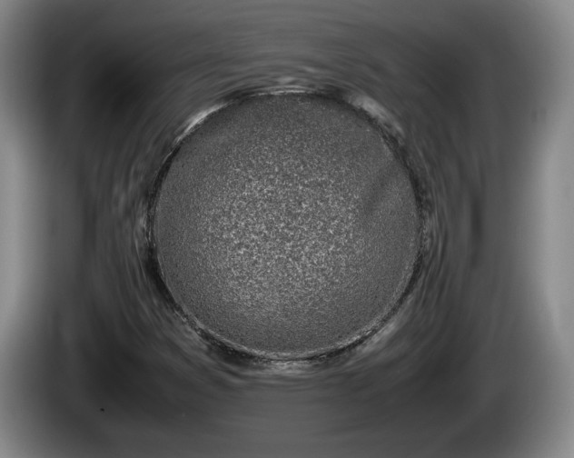 X0000086231353200704051147