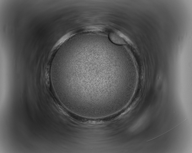 X0000086231354200704051147