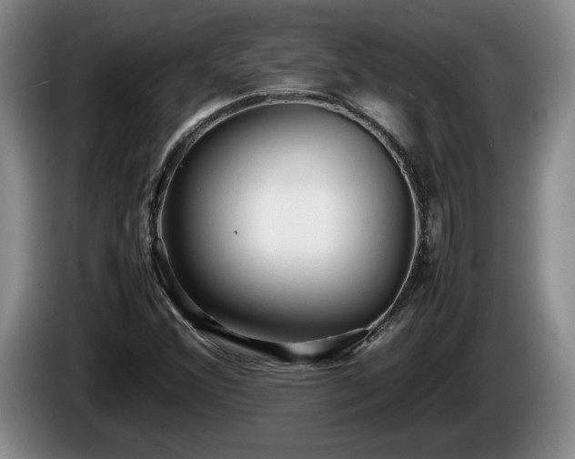 X0000086231356200704051147