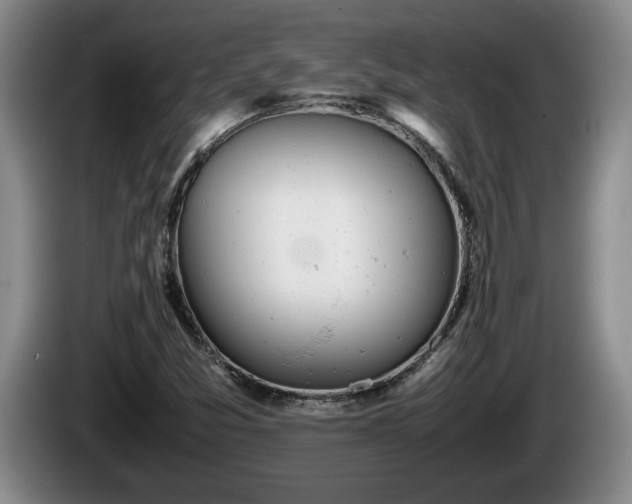 X0000086231357200704051147