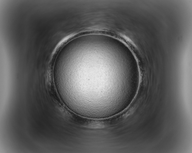 X0000086231358200704051147
