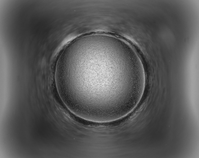 X0000086231359200704051147