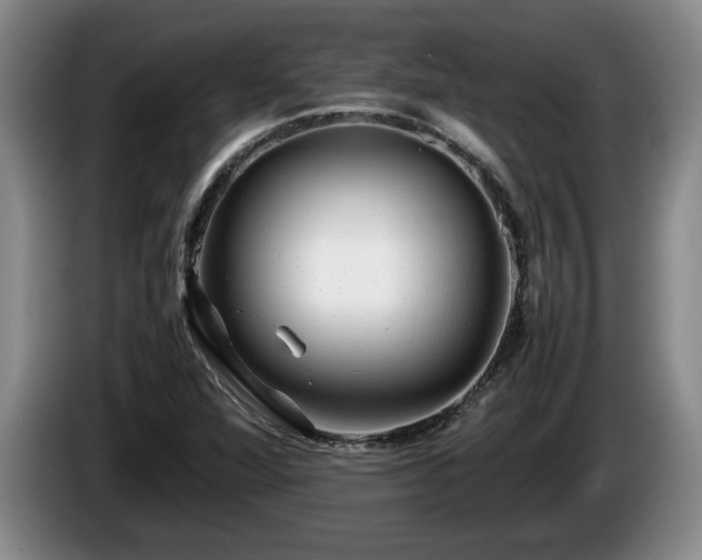 X0000086231360200704051147