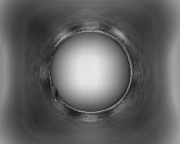 X0000086231361200704051147