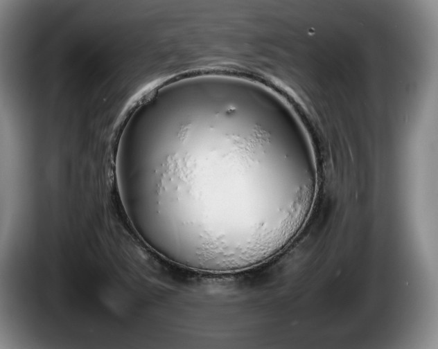 X0000086231363200704051147