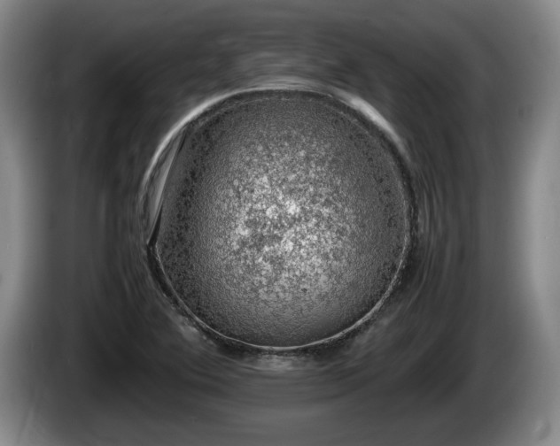 X0000086231364200704051147