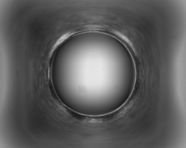 X0000086231365200704051147