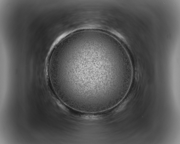 X0000086231366200704051147