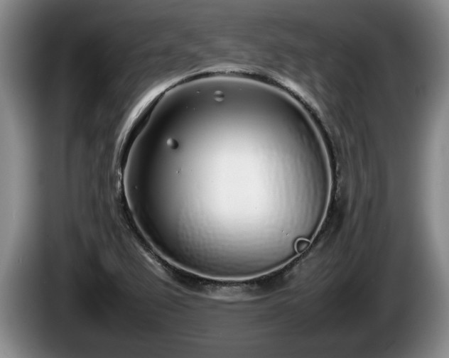 X0000086231367200704051147