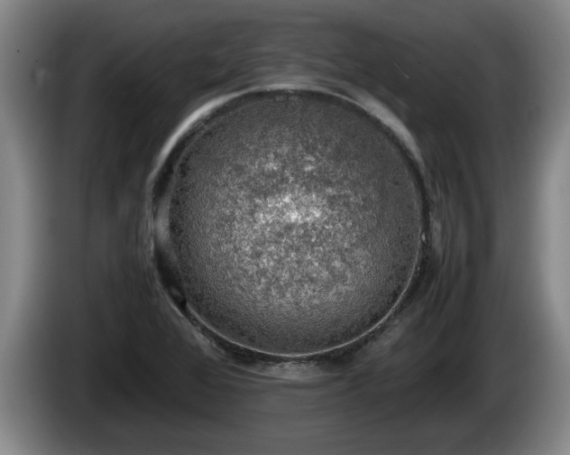 X0000086231368200704051147